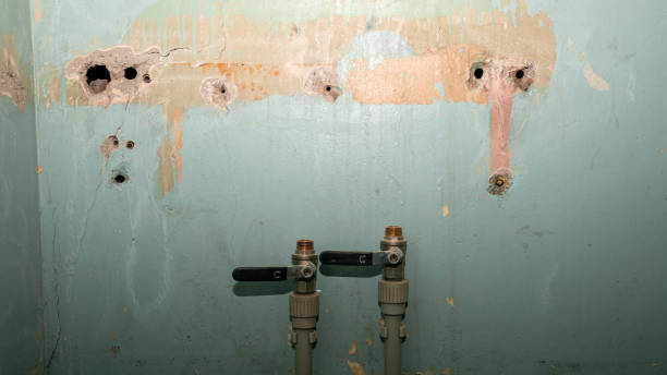 Best Emergency water damage restoration  in Blossburg, PA
