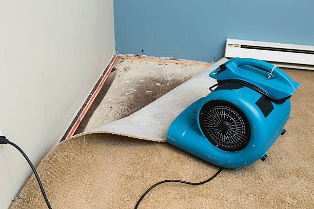 Best Water damage cleanup near me  in Blossburg, PA